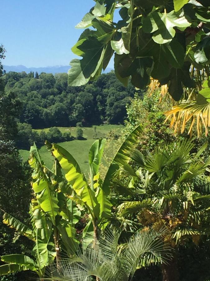 Chambres D'Hotes Coteaux Sud Jurançon Exteriör bild