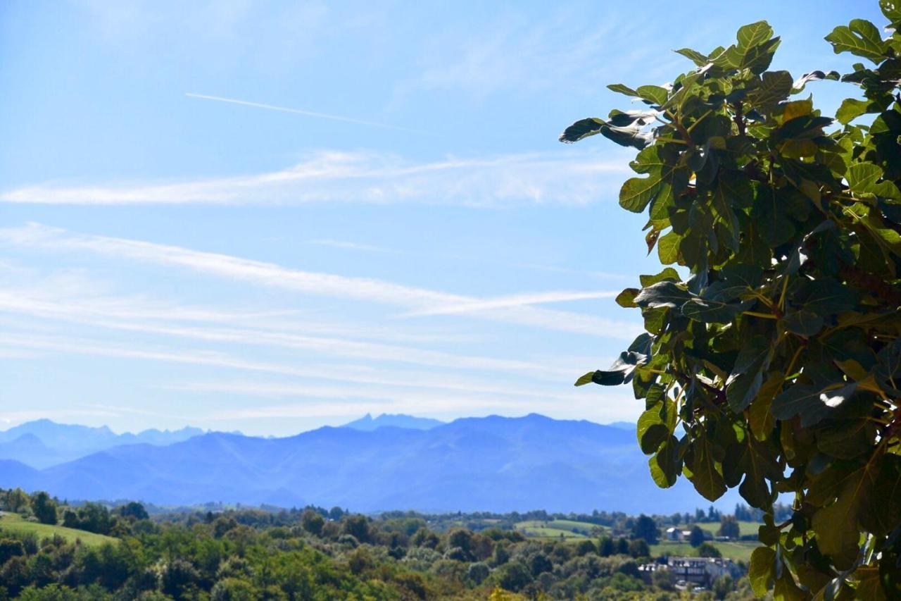 Chambres D'Hotes Coteaux Sud Jurançon Exteriör bild